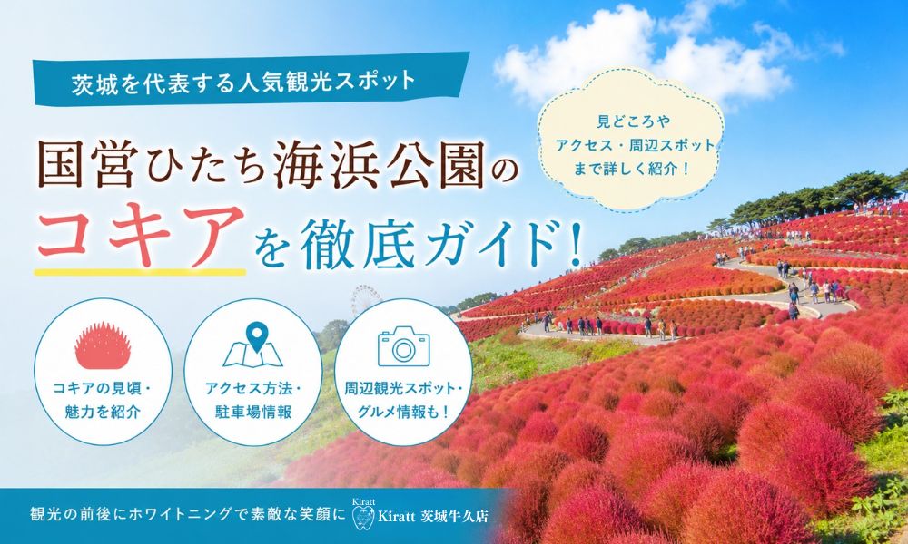 ひたち海浜公園のコキア紅葉ガイド|見頃・アクセス・真っ赤な丘の絶景を楽しむコツ