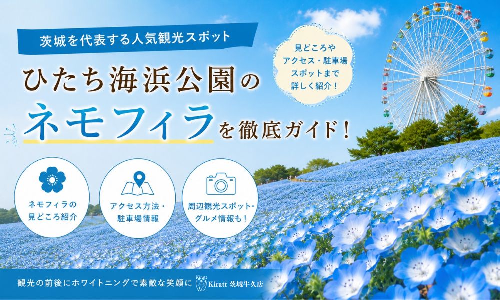 ひたち海浜公園ネモフィラの見頃・アクセス・写真撮影ガイド|青い絶景を楽しむコツ