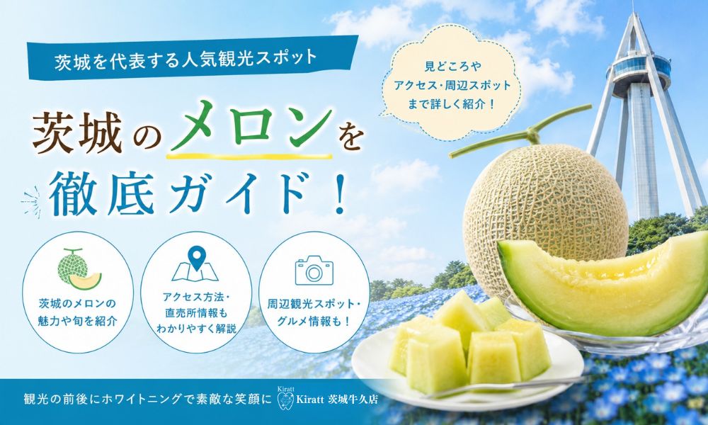 メロン様　リクエスト 茨城メロン完全ガイド｜生産量日本一の品種・旬・イバラキング・メロン