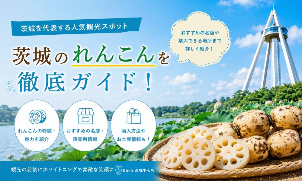 茨城のれんこん完全ガイド｜全国シェア5割の霞ヶ浦産・旬・栄養・縁起物の魅力