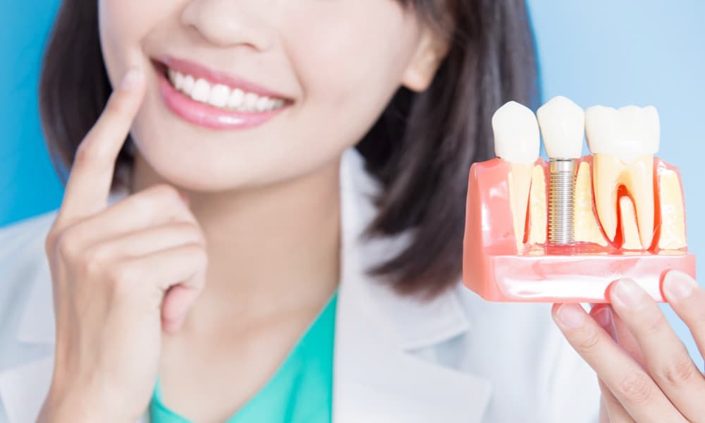 歯の模型を持った歯科衛生士女性の写真
