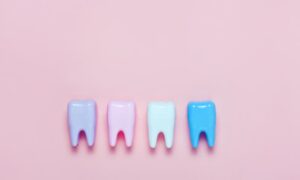 カラフルな歯の模型が並んだ画像