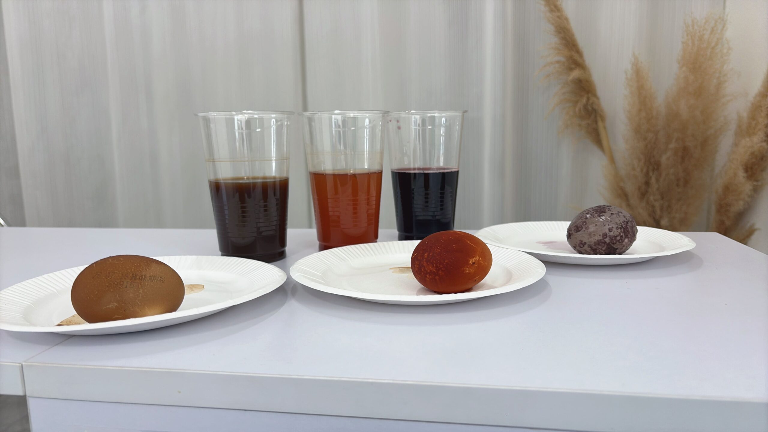 別の角度から見た24時間後の卵。左からコーヒー、紅茶、赤ワイン